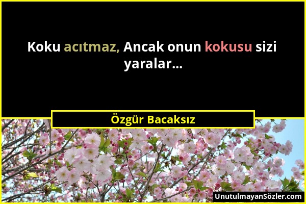 Özgür Bacaksız - Koku acıtmaz, Ancak onun kokusu sizi yaralar......