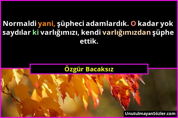 Özgür Bacaksız - Normaldi yani, şüpheci adamlardık. O kadar yok saydılar ki varlığımızı, kendi varlığımızdan şüphe ettik....