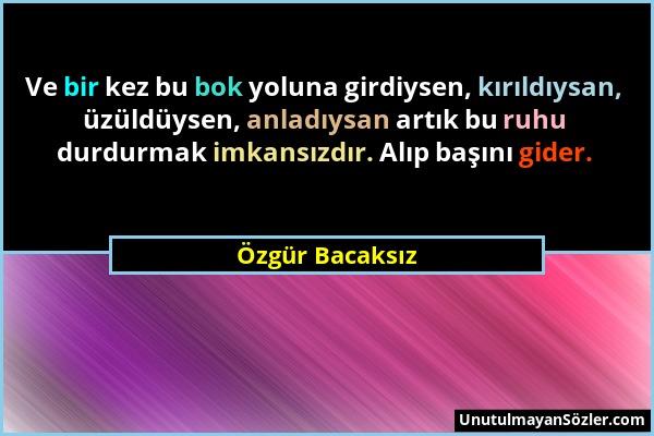 Özgür Bacaksız - Ve bir kez bu bok yoluna girdiysen, kırıldıysan, üzüldüysen, anladıysan artık bu ruhu durdurmak imkansızdır. Alıp başını gider....