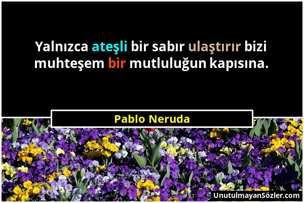 Pablo Neruda - Yalnızca ateşli bir sabır ulaştırır bizi muhteşem bir mutluluğun kapısına....