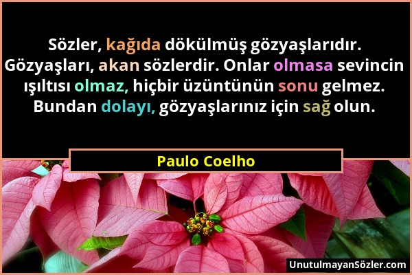 Paulo Coelho - Sözler, kağıda dökülmüş gözyaşlarıdır. Gözyaşları, akan sözlerdir. Onlar olmasa sevincin ışıltısı olmaz, hiçbir üzüntünün sonu gelmez....