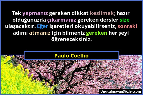 Paulo Coelho - Tek yapmanız gereken dikkat kesilmek; hazır olduğunuzda çıkarmanız gereken dersler size ulaşacaktır. Eğer işaretleri okuyabilirseniz, s...