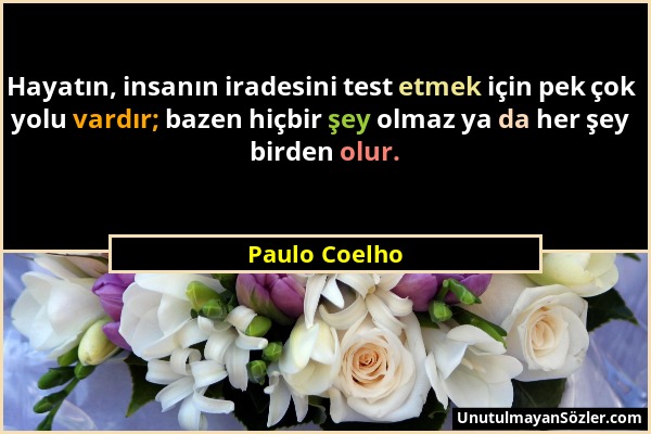 Paulo Coelho - Hayatın, insanın iradesini test etmek için pek çok yolu vardır; bazen hiçbir şey olmaz ya da her şey birden olur....