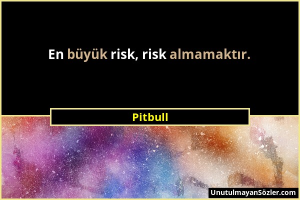 Pitbull - En büyük risk, risk almamaktır....