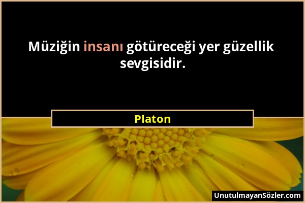 Platon - Müziğin insanı götüreceği yer güzellik sevgisidir....