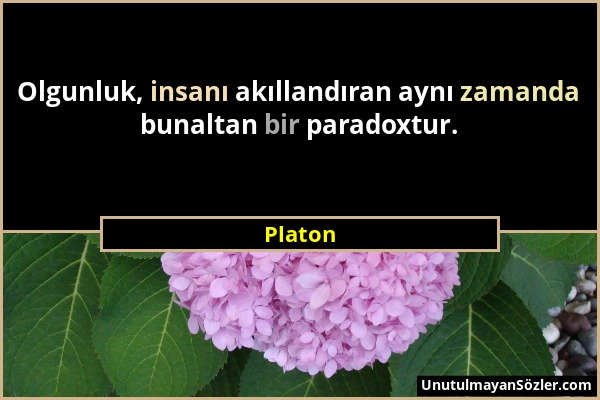 Platon - Olgunluk, insanı akıllandıran aynı zamanda bunaltan bir paradoxtur....