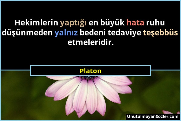 Platon - Hekimlerin yaptığı en büyük hata ruhu düşünmeden yalnız bedeni tedaviye teşebbüs etmeleridir....