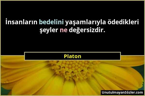 Platon - İnsanların bedelini yaşamlarıyla ödedikleri şeyler ne değersizdir....