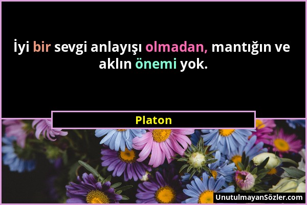 Platon - İyi bir sevgi anlayışı olmadan, mantığın ve aklın önemi yok....