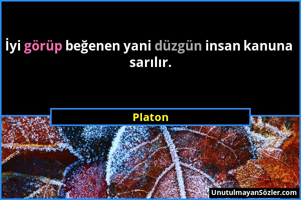 Platon - İyi görüp beğenen yani düzgün insan kanuna sarılır....