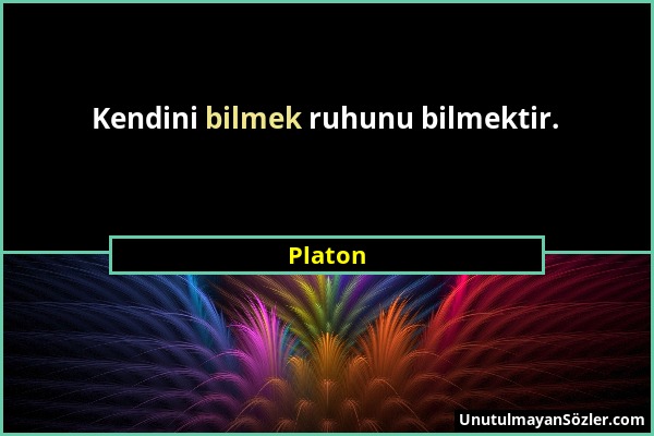 Platon - Kendini bilmek ruhunu bilmektir....