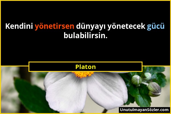 Platon - Kendini yönetirsen dünyayı yönetecek gücü bulabilirsin....