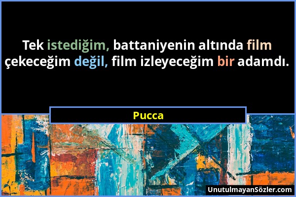 Pucca - Tek istediğim, battaniyenin altında film çekeceğim değil, film izleyeceğim bir adamdı....