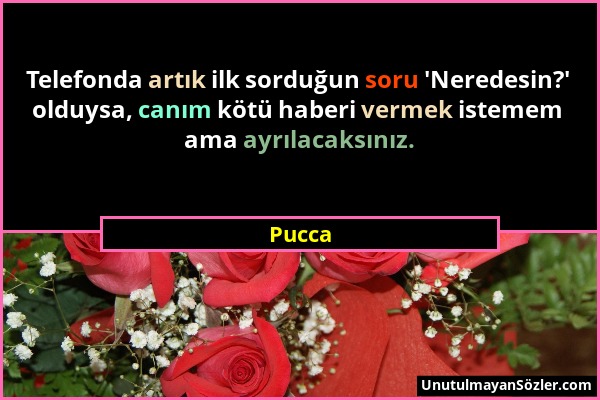 Pucca - Telefonda artık ilk sorduğun soru 'Neredesin?' olduysa, canım kötü haberi vermek istemem ama ayrılacaksınız....