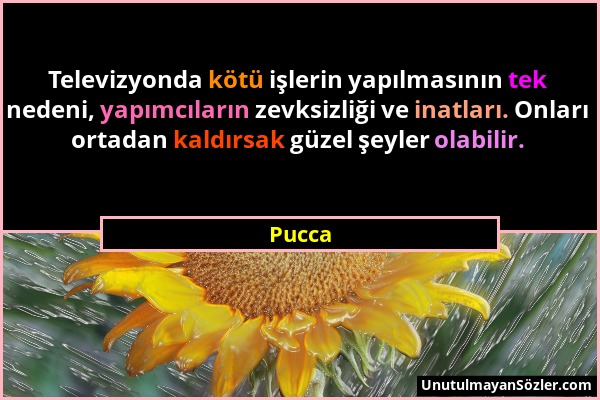 Pucca - Televizyonda kötü işlerin yapılmasının tek nedeni, yapımcıların zevksizliği ve inatları. Onları ortadan kaldırsak güzel şeyler olabilir....