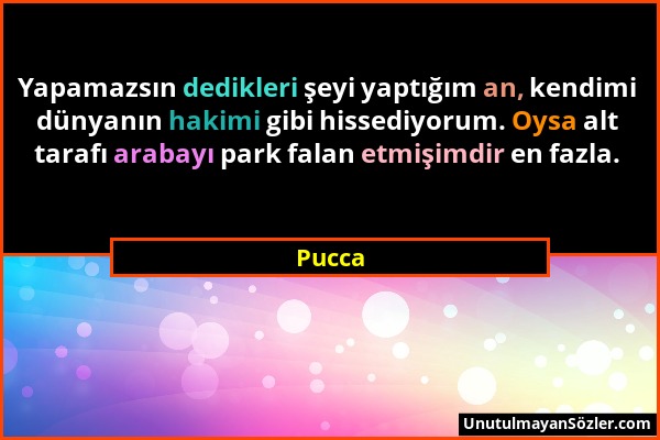 Pucca - Yapamazsın dedikleri şeyi yaptığım an, kendimi dünyanın hakimi gibi hissediyorum. Oysa alt tarafı arabayı park falan etmişimdir en fazla....