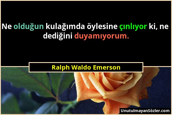 Ralph Waldo Emerson - Ne olduğun kulağımda öylesine çınlıyor ki, ne dediğini duyamıyorum....