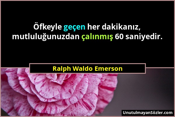 Ralph Waldo Emerson - Öfkeyle geçen her dakikanız, mutluluğunuzdan çalınmış 60 saniyedir....