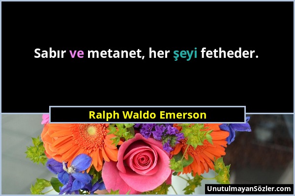 Ralph Waldo Emerson - Sabır ve metanet, her şeyi fetheder....