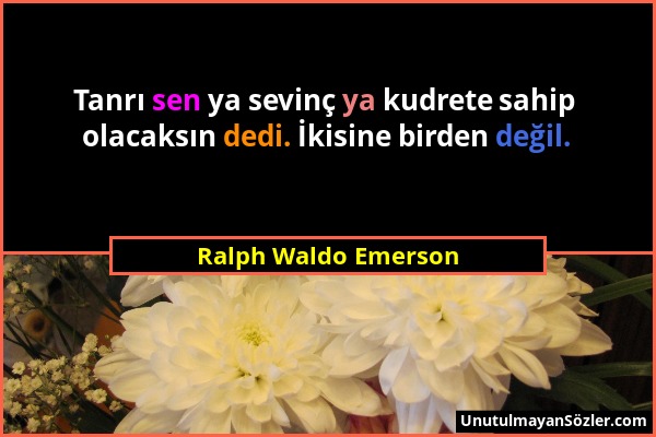 Ralph Waldo Emerson - Tanrı sen ya sevinç ya kudrete sahip olacaksın dedi. İkisine birden değil....