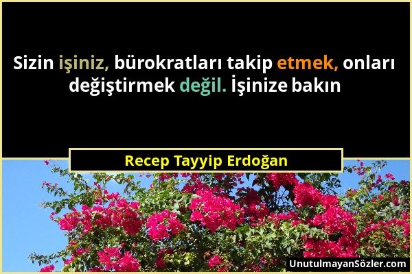 Recep Tayyip Erdoğan - Sizin işiniz, bürokratları takip etmek, onları değiştirmek değil. İşinize bakın...