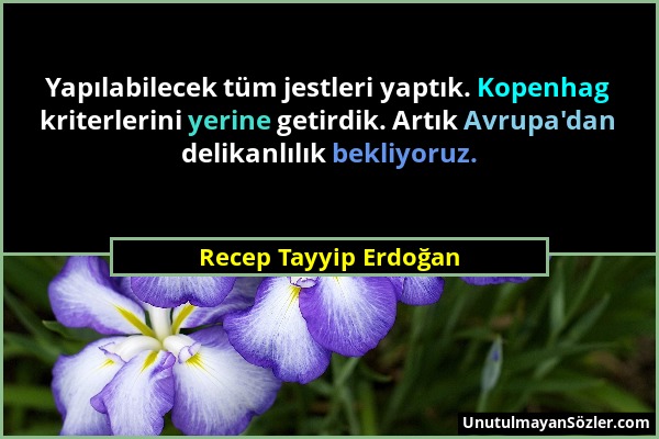 Recep Tayyip Erdoğan - Yapılabilecek tüm jestleri yaptık. Kopenhag kriterlerini yerine getirdik. Artık Avrupa'dan delikanlılık bekliyoruz....