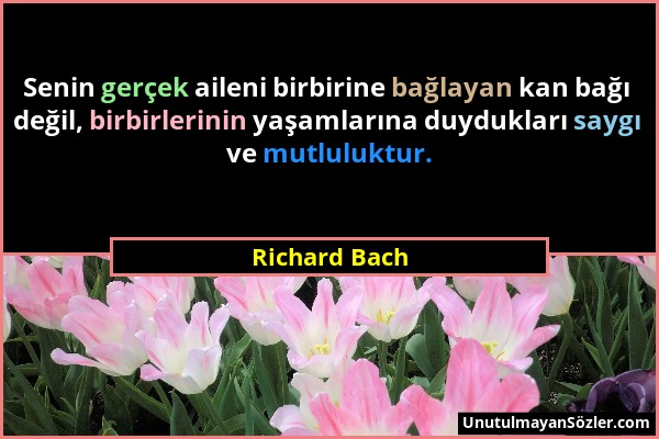 Richard Bach - Senin gerçek aileni birbirine bağlayan kan bağı değil, birbirlerinin yaşamlarına duydukları saygı ve mutluluktur....