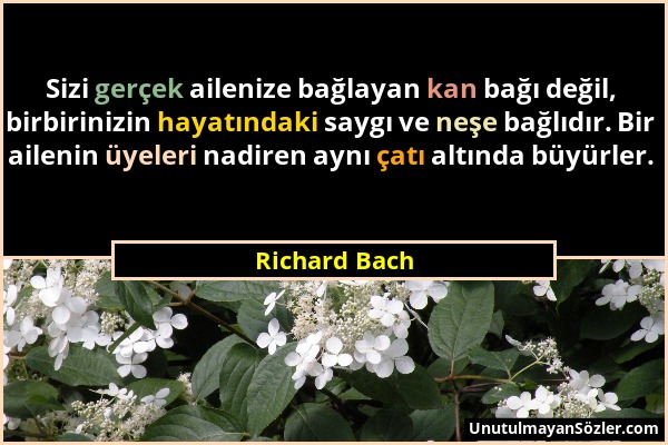 Richard Bach - Sizi gerçek ailenize bağlayan kan bağı değil, birbirinizin hayatındaki saygı ve neşe bağlıdır. Bir ailenin üyeleri nadiren aynı çatı al...