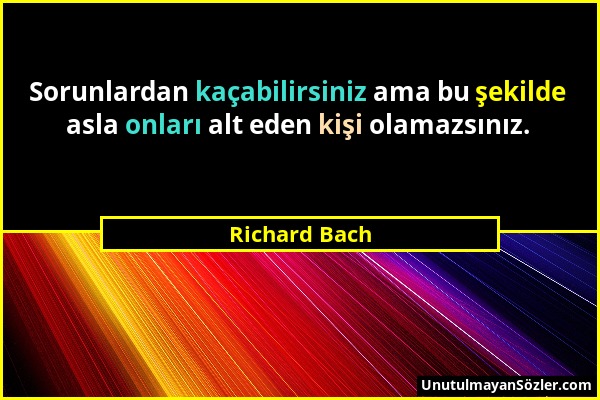 Richard Bach - Sorunlardan kaçabilirsiniz ama bu şekilde asla onları alt eden kişi olamazsınız....