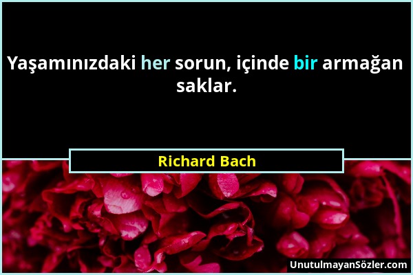 Richard Bach - Yaşamınızdaki her sorun, içinde bir armağan saklar....