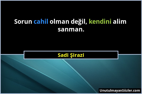 Sadi Şirazi - Sorun cahil olman değil, kendini alim sanman....