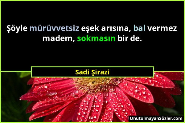 Sadi Şirazi - Şöyle mürüvvetsiz eşek arısına, bal vermez madem, sokmasın bir de....