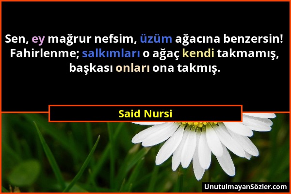 Said Nursi - Sen, ey mağrur nefsim, üzüm ağacına benzersin! Fahirlenme; salkımları o ağaç kendi takmamış, başkası onları ona takmış....