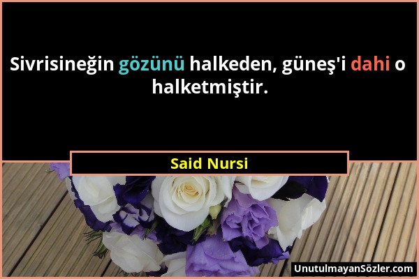 Said Nursi - Sivrisineğin gözünü halkeden, güneş'i dahi o halketmiştir....