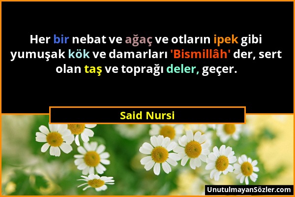 Said Nursi - Her bir nebat ve ağaç ve otların ipek gibi yumuşak kök ve damarları 'Bismillâh' der, sert olan taş ve toprağı deler, geçer....