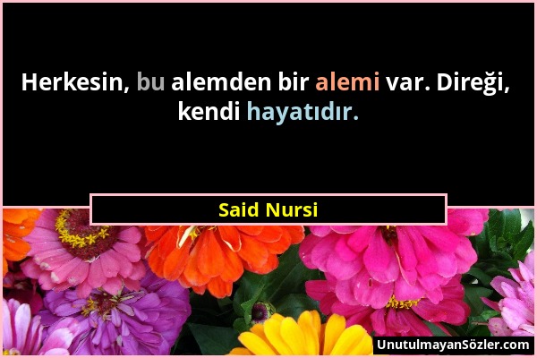 Said Nursi - Herkesin, bu alemden bir alemi var. Direği, kendi hayatıdır....