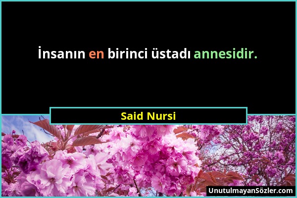 Said Nursi - İnsanın en birinci üstadı annesidir....