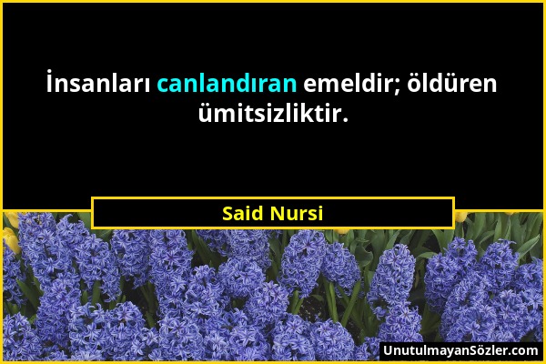 Said Nursi - İnsanları canlandıran emeldir; öldüren ümitsizliktir....