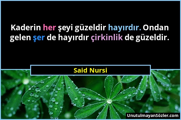 Said Nursi - Kaderin her şeyi güzeldir hayırdır. Ondan gelen şer de hayırdır çirkinlik de güzeldir....