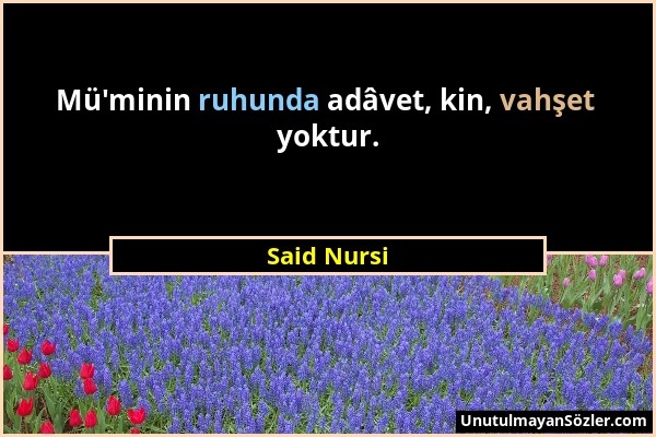 Said Nursi - Mü'minin ruhunda adâvet, kin, vahşet yoktur....