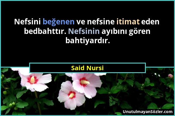 Said Nursi - Nefsini beğenen ve nefsine itimat eden bedbahttır. Nefsinin ayıbını gören bahtiyardır....