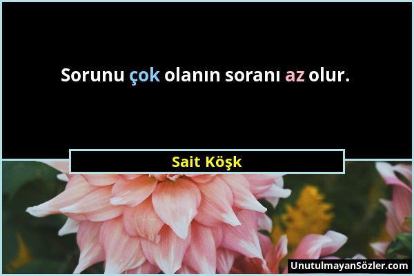 Sait Köşk - Sorunu çok olanın soranı az olur....