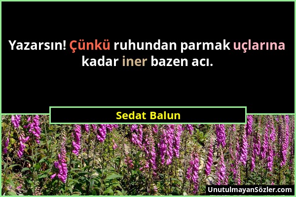 Sedat Balun - Yazarsın! Çünkü ruhundan parmak uçlarına kadar iner bazen acı....