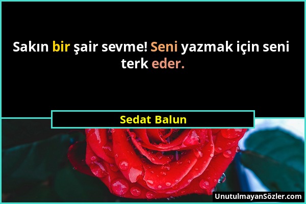 Sedat Balun - Sakın bir şair sevme! Seni yazmak için seni terk eder....