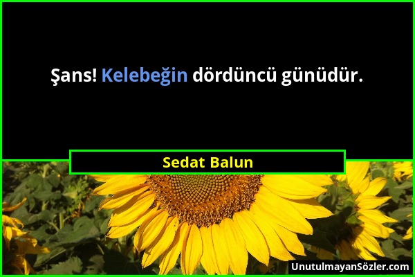 Sedat Balun - Şans! Kelebeğin dördüncü günüdür....