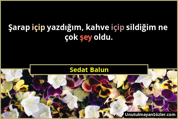 Sedat Balun - Şarap içip yazdığım, kahve içip sildiğim ne çok şey oldu....