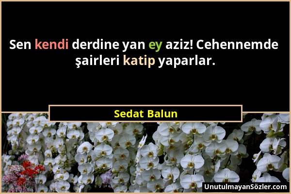 Sedat Balun - Sen kendi derdine yan ey aziz! Cehennemde şairleri katip yaparlar....