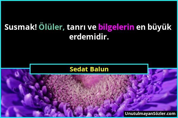 Sedat Balun - Susmak! Ölüler, tanrı ve bilgelerin en büyük erdemidir....