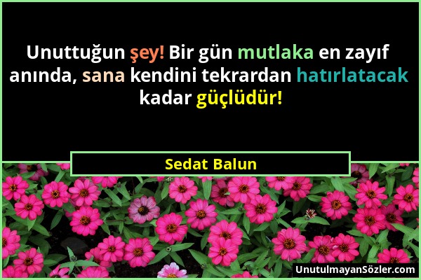 Sedat Balun - Unuttuğun şey! Bir gün mutlaka en zayıf anında, sana kendini tekrardan hatırlatacak kadar güçlüdür!...