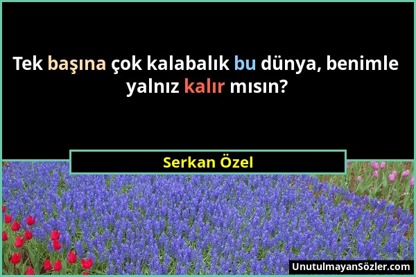 Serkan Özel - Tek başına çok kalabalık bu dünya, benimle yalnız kalır mısın?...